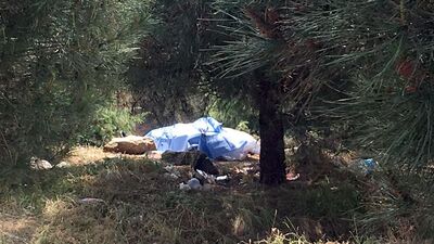 TEM kenarında cesedi bulundu