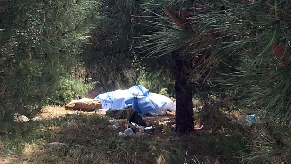 TEM kenarında cesedi bulundu