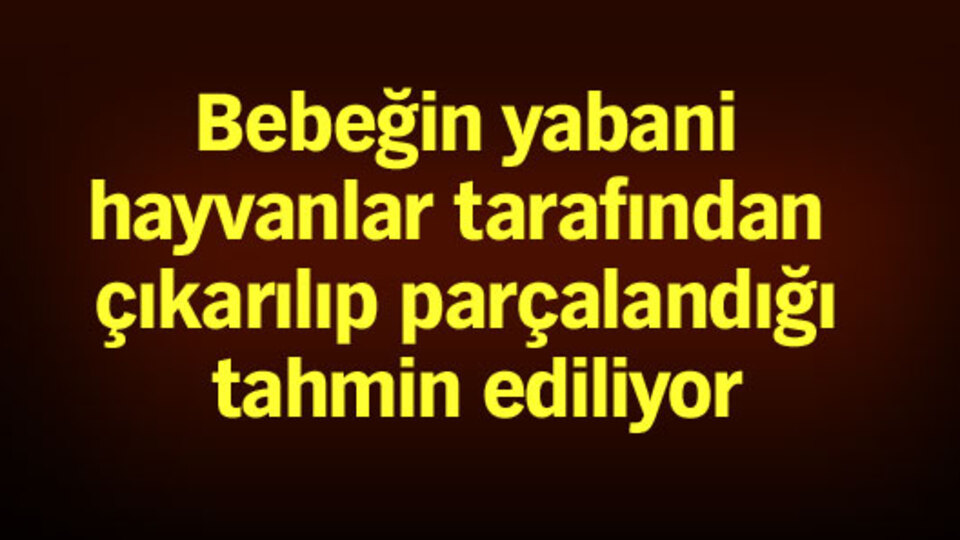 4 aylık bebeğini katletti, "Yolda ölünce buraya gömdüm" dedi