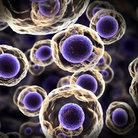 Gençlerde kanser ölümleri endişe verici boyutta