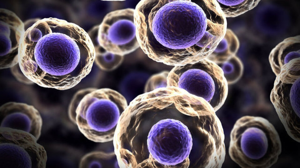 Gençlerde kanser ölümleri endişe verici boyutta