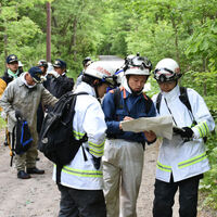 Japonya'da akılalmaz olay: 7 yaşındaki çocuğu ormana bıraktılar!