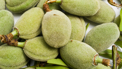 Kalbiniz için çağla, Parkinson için bakla yiyin!