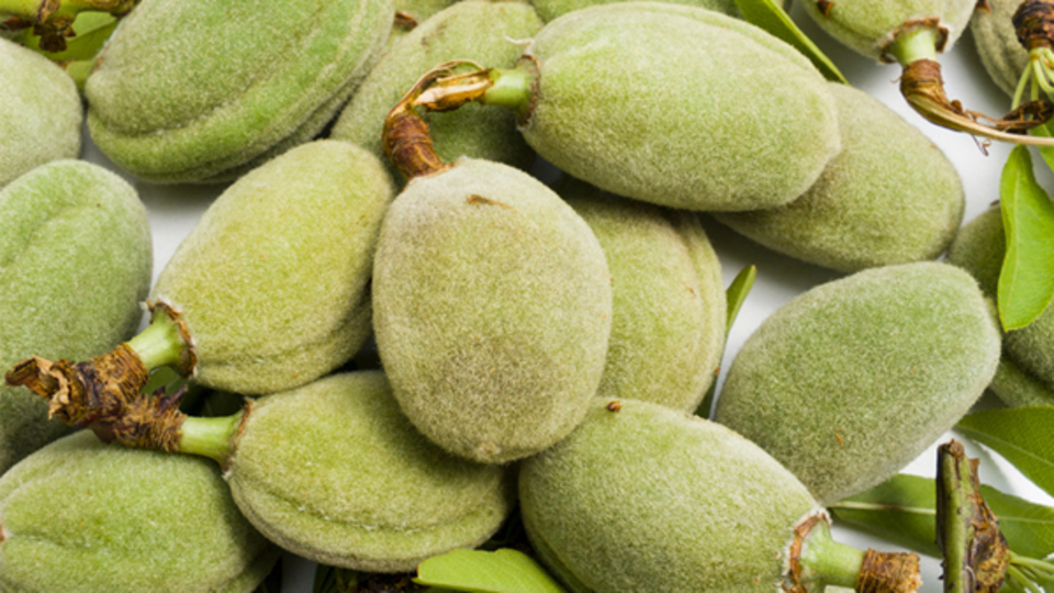 Kalbiniz için çağla, Parkinson için bakla yiyin!