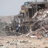 "Nusaybin'de 495 PKK'lı etkisiz hale getirildi"