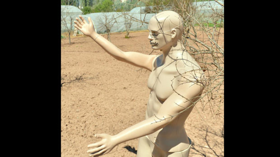 Yabani hayvanlara 'manken'li önlem