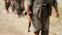 PKK'nın sözde üst düzey yöneticisi öldürüldü