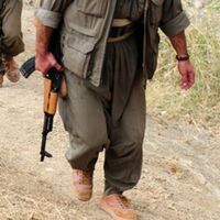 PKK'nın sözde üst düzey yöneticisi öldürüldü