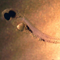 Makyaj malzemeleri plastik dolu!