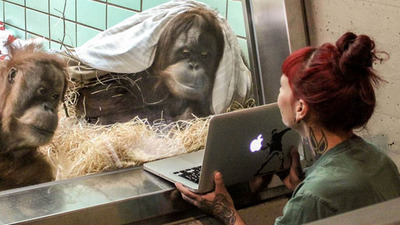 Aşkı internette aradılar!