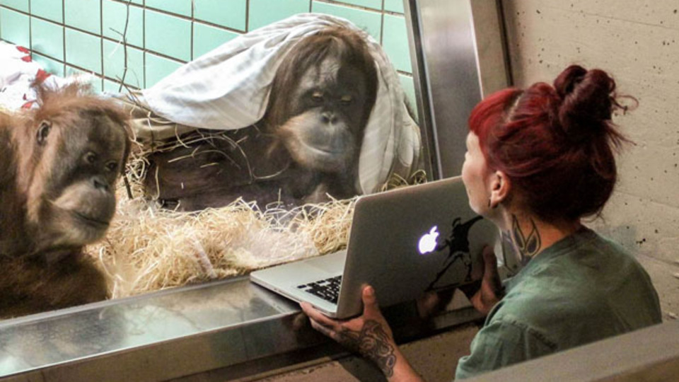 Aşkı internette aradılar!