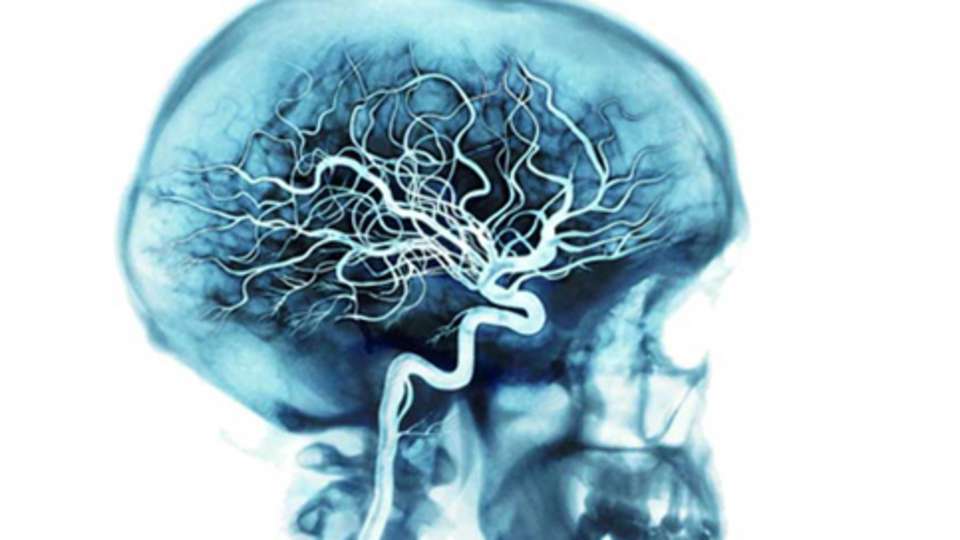 İşte vücudumuzu tehdit eden hastalıklar