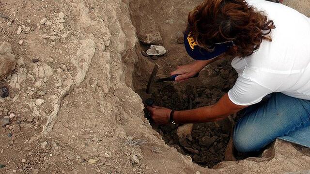 İlkel insan türü 'Hobbitler'le ilgili yeni bulgu
