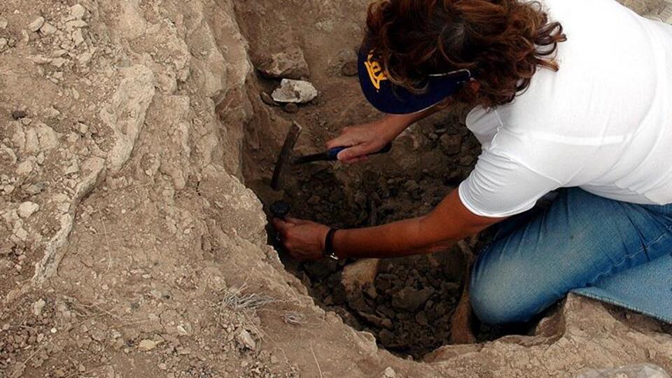 İlkel insan türü 'Hobbitler'le ilgili yeni bulgu
