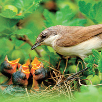 Mümin dünyası ile ahireti ayrı değildir!