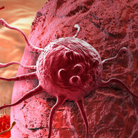 Kanser için geç kalmaktan da korkmayın!