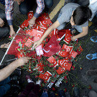 Vezneciler'in sahipsiz mağduru! Kimse arayıp sormadı