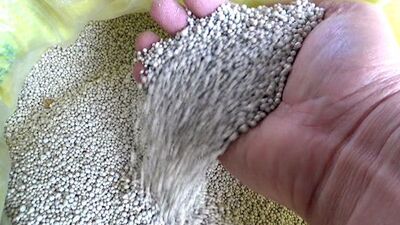 O yasağa çözüm buldular!