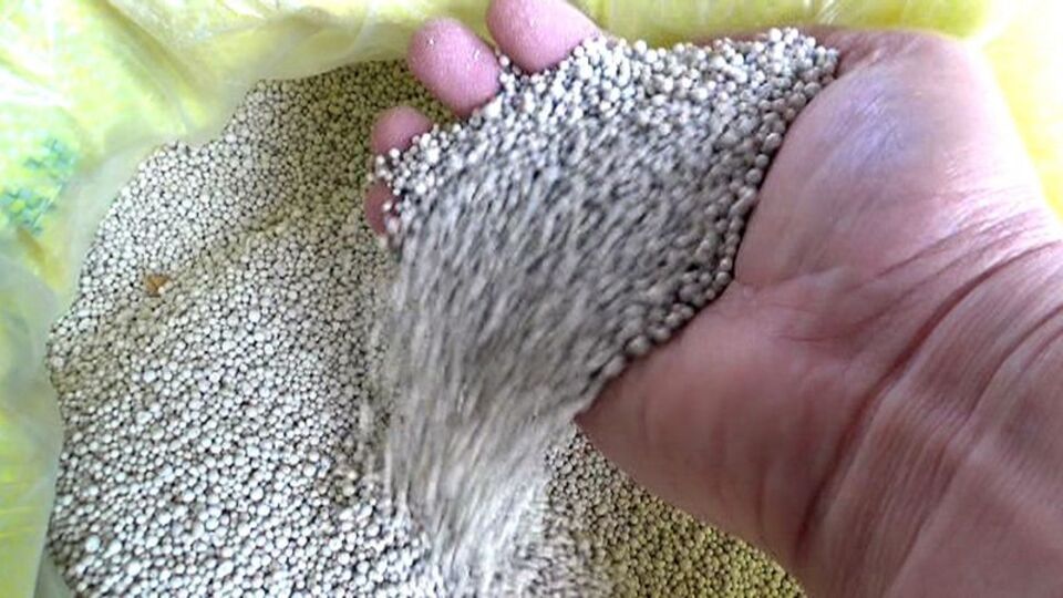 O yasağa çözüm buldular!