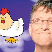 Dünyayı tavuklar kurtaracak!