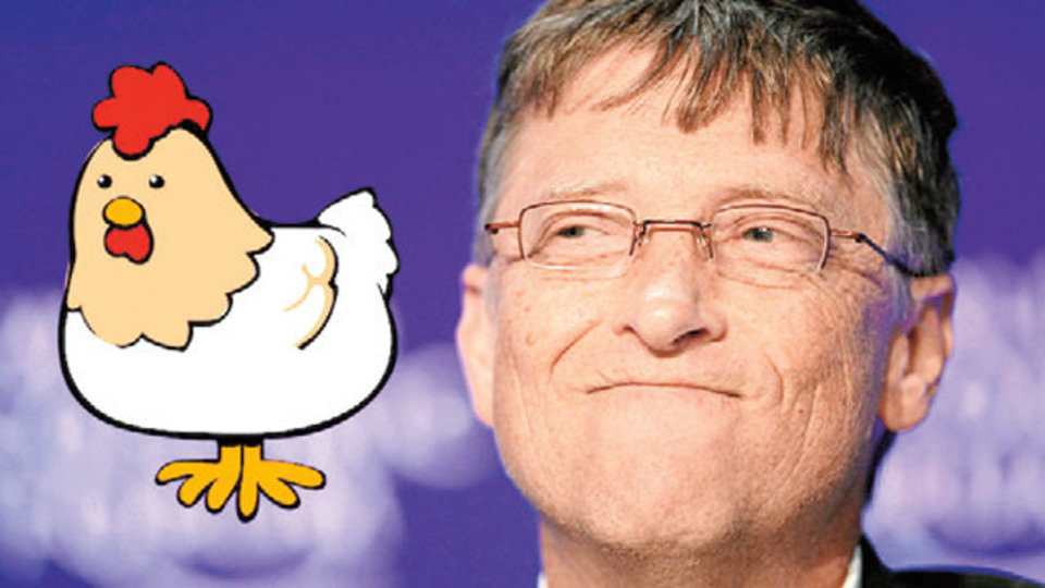 Dünyayı tavuklar kurtaracak!