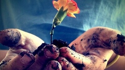 Huzurlu bir hayatın sırrı: Güzel ahlak