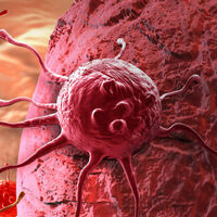 Kanserde ‘genetik danışmanlığı’ dönemi