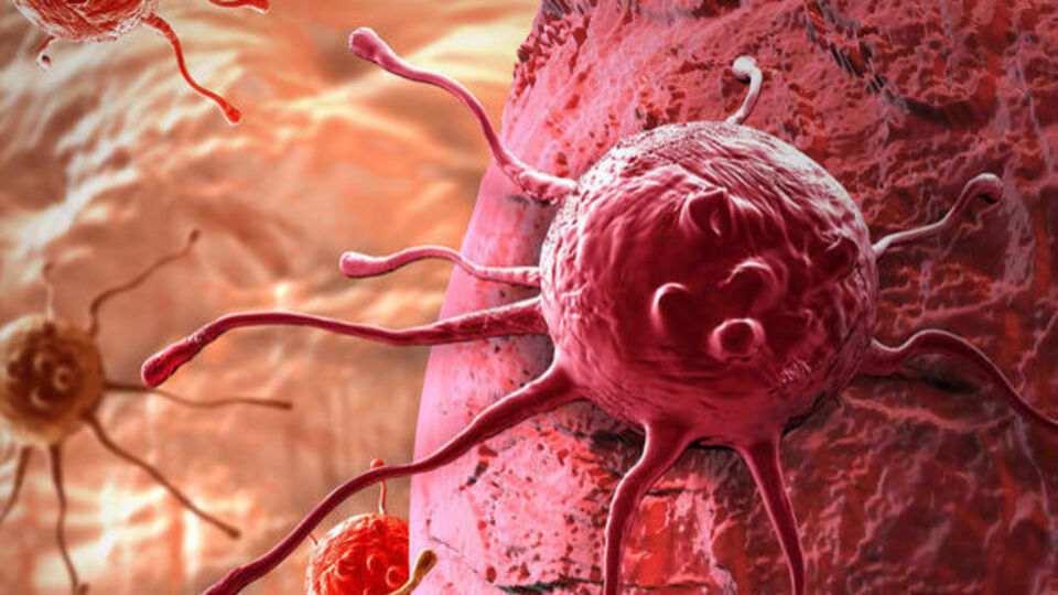 Kanserde 'genetik danışmanlığı' dönemi