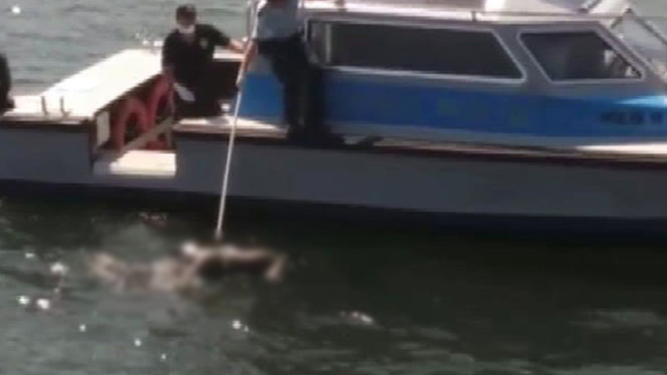 Haliç'te ceset şoku
