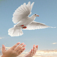 Ramazan bize Allah (CC) yolunda vermeyi öğretir!