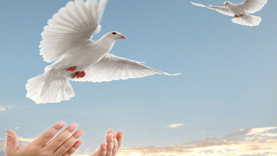 Ramazan bize Allah (CC) yolunda vermeyi öğretir!