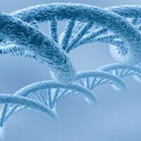 Türkiye'de yılda 174 bin kişi kansere yakalanıyor