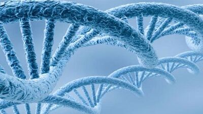 Türkiye'de yılda 174 bin kişi kansere yakalanıyor