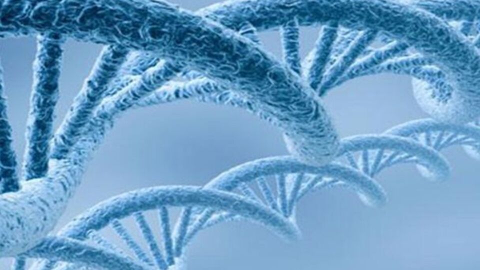 Türkiye'de yılda 174 bin kişi kansere yakalanıyor