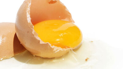 Yumurta kabuğu zarındaki mucize!