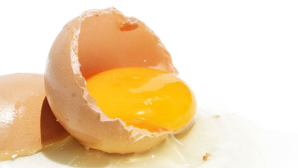 Yumurta kabuğu zarındaki mucize!