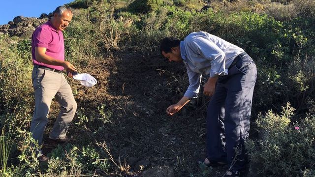 Yayladağı'na havan mermisi!