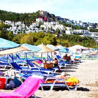 Kayıp yüzde 60'a dayandı