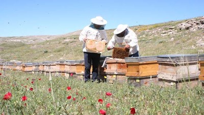 Talep patladı, yetişemiyorlar!