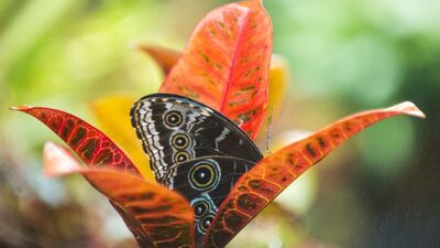 21 Haziran 'Yaz Gündönümü' ile en uzun gün!