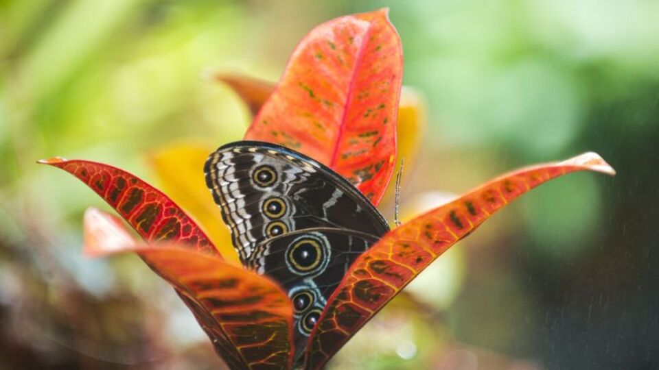 21 Haziran 'Yaz Gündönümü' ile en uzun gün!