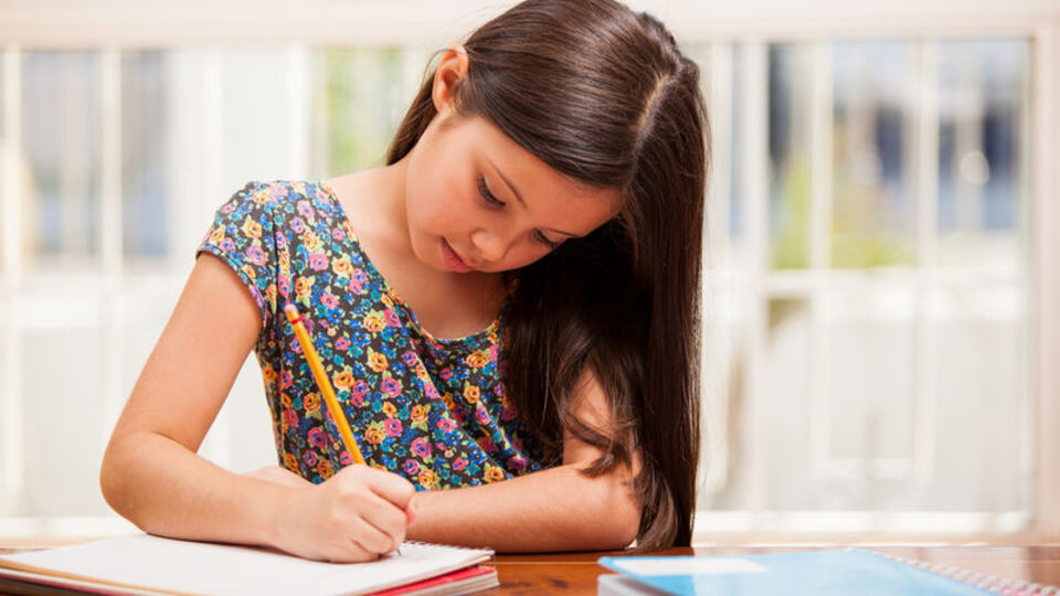 Çocuğunuzda hangi zeka türünün baskın olduğunu hiç merak ettiniz mi?