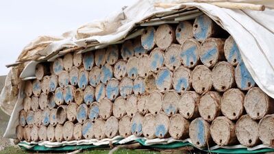 Araplar onun için sıraya girdi!