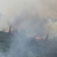 Yangın bir anda büyüdü! Evler tehdit altında