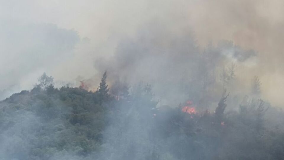 Yangın bir anda büyüdü! Evler tehdit altında