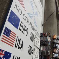 Dolardaki uçuşa 'yerli' freni