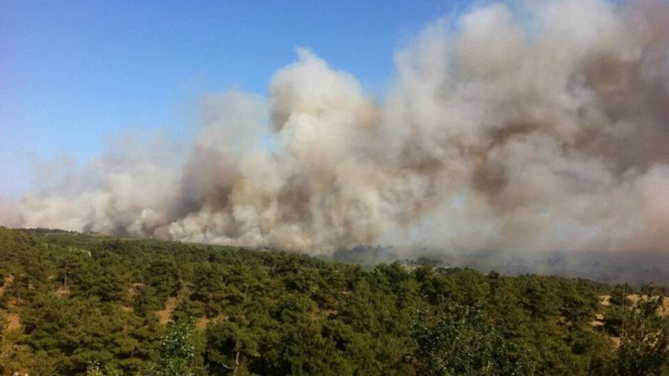 Keşan'daki orman yangını kontrol altına alınamıyor