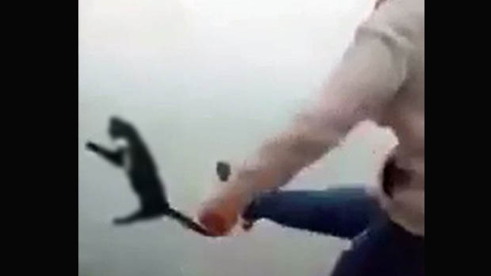 Bunu yapan insan olamaz!