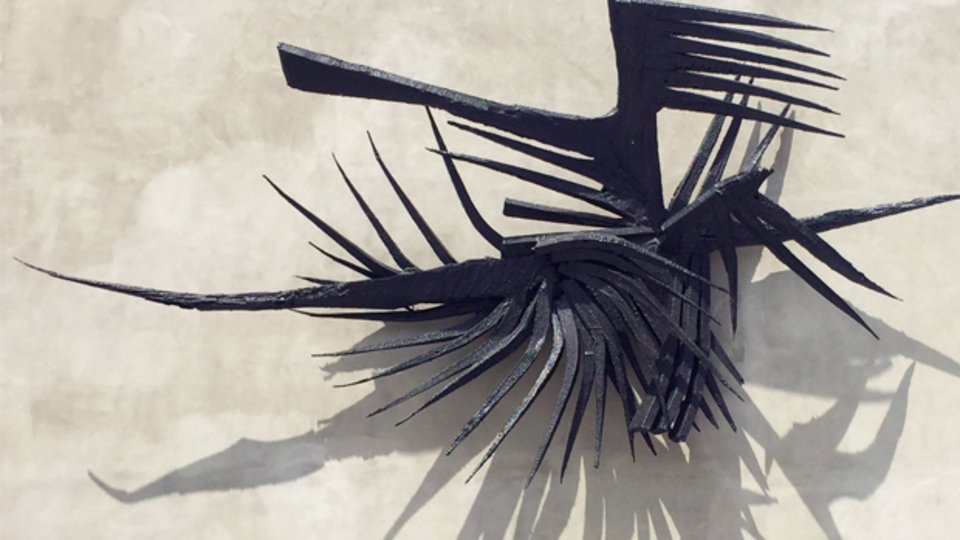 Kuzgun'un Kuşlar'ı uçuyor