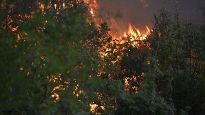 Adrasan'daki yangın kontrol altına alındı!